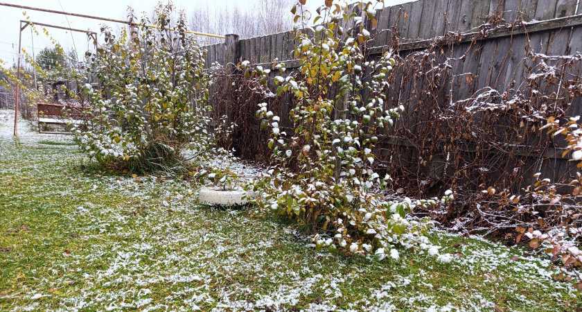 Плотный облачный фронт со снегопадами накрыл Кировскую область