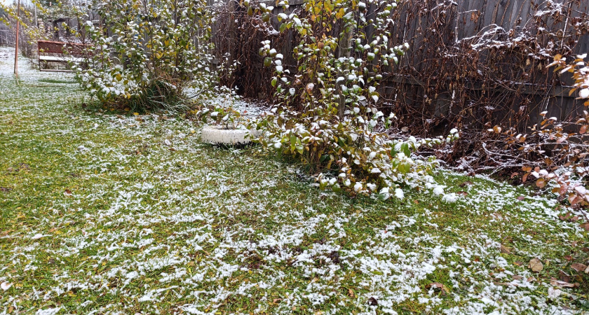 Грядет потепление, ждите капризную осень - синоптики поделились прогнозом на ноябрь-2025
