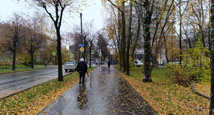 В Кирове ожидается дождь и сильный ветер