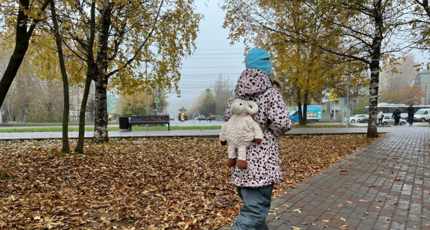 Благородное имя для дочки - на Руси так хотели назвать каждую девочку. В переводе значит "славная защитница"