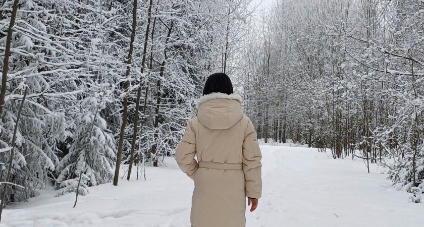 Три российские модели напрогнозировали кировчанам аномальную зиму