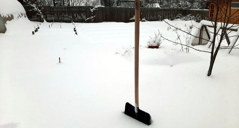 Не откладывайте до весны: какое удобрение я раскидываю по снегу в ноябре для мегаурожая