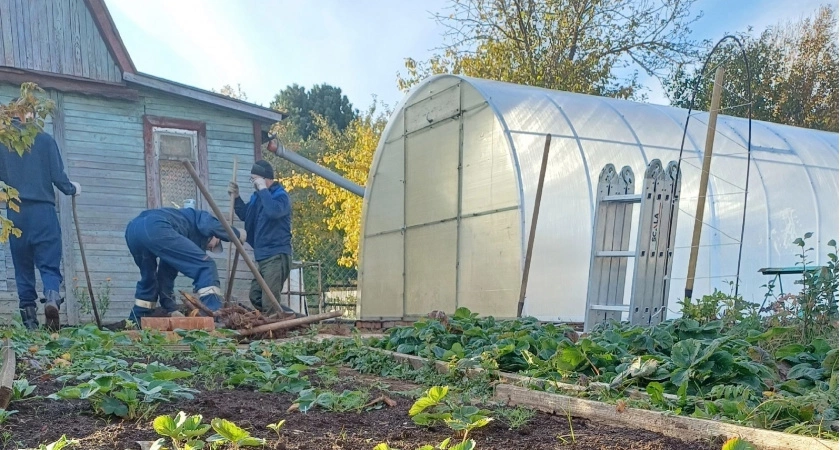 Нашел копеечное средство для дачи: и бассейн очистит, и траву с плитки уберет, и запах из ямы нейтрализует