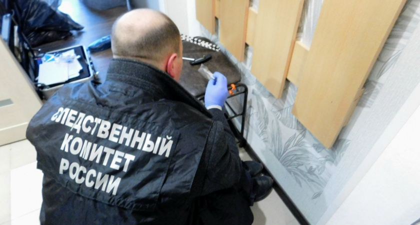 В Тамбове возбудили дело после загадочной гибели двух жителей Кировской области