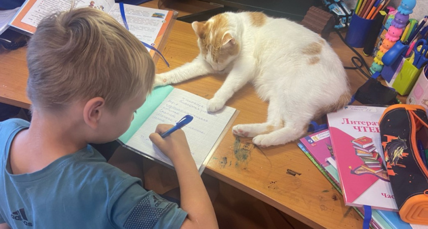 Сказочное имя для мальчика - имеет богатую духовную историю: оно популярно во всем мире. Переводится как «Божья милость»