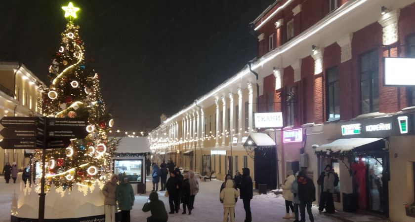 В Кирове ищут подрядчика для установки новогодних елей за 455 тысяч рублей