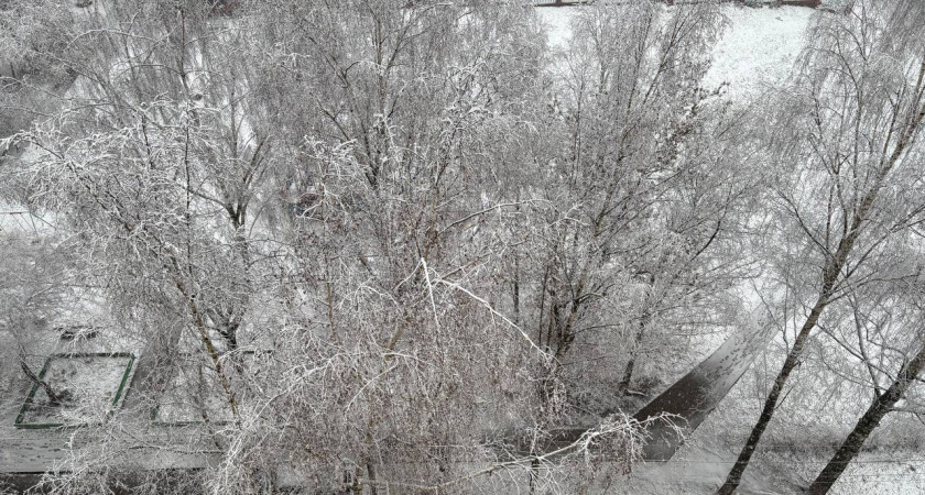 Циклон разрушит зимнюю сказку в Кировской области