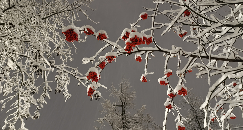 Студеные морозы ворвутся без стука: синоптики назвали точные даты старта зимы