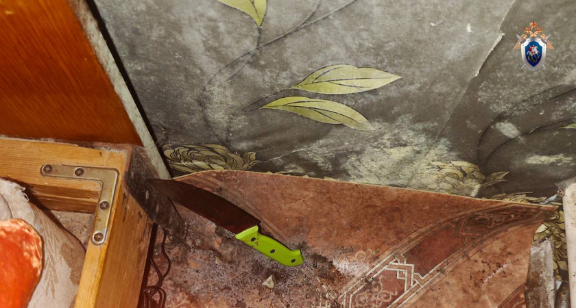 Нож в спину своего возлюбленного воткнула жительница Оричевского района