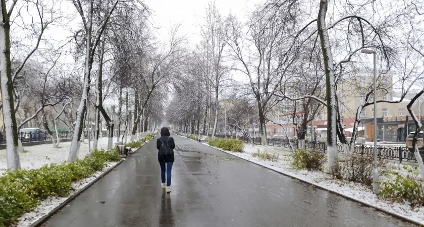 В Кировской области ожидается усиление ветра и дожди