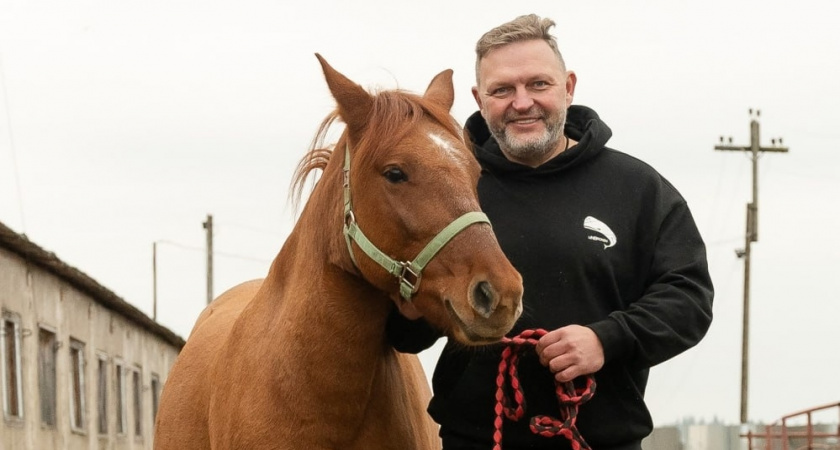 Экс-губернатор Никита Белых предложил поставить в Кирове памятник Вятской лошади