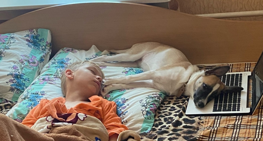 Почему собаке нельзя спать с вами в кровати - 4 главные причины. Запомните раз и на всю жизнь