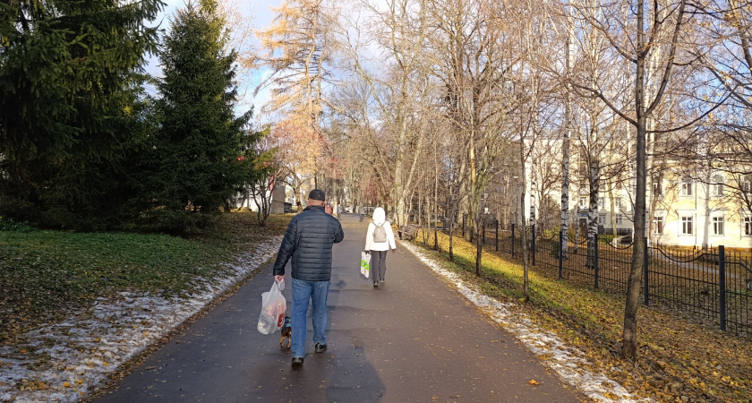 Зиму не ждите: Роман Вильфанд дал прогноз на начало декабря