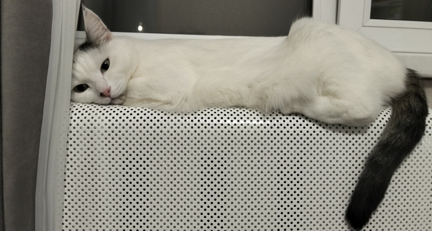 Как сделать батареи горячее за 5 минут - запомните раз и навсегда