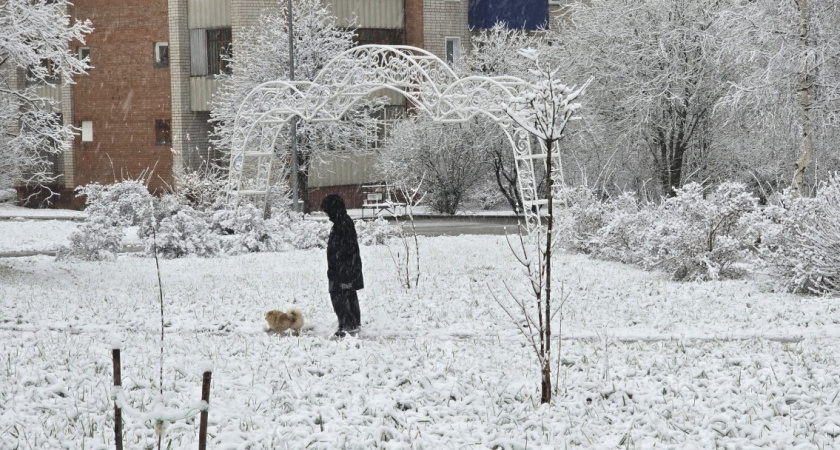 Ногам тепло даже в капроновых носочках: с первым снегом под стельку - и в ботинках камин