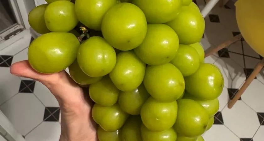 В магазинах появился огромный "пластиковый" виноград из Китая - можно ли его есть