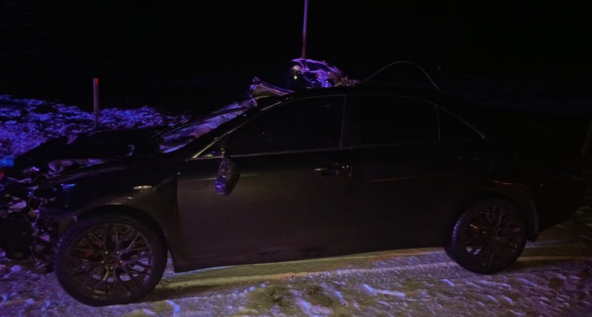 В Верхошижемском районе лось смял иномарку и погиб, водитель травмирован