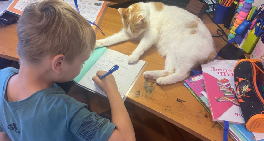 Классное имя для мальчика - в переводе значит "лучший правитель": благородное, мужественное и невероятно красивое