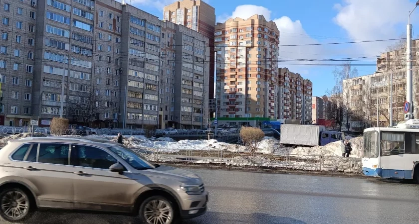 ДТП с участием лося, жестокое избиение и прогноз погоды: что читали кировчане на неделе