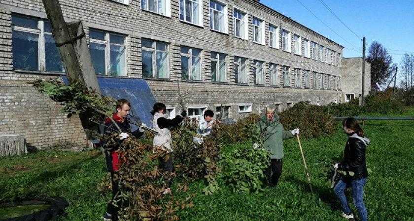 В Кировской области жители посадили семь тысяч деревьев и кустарников
