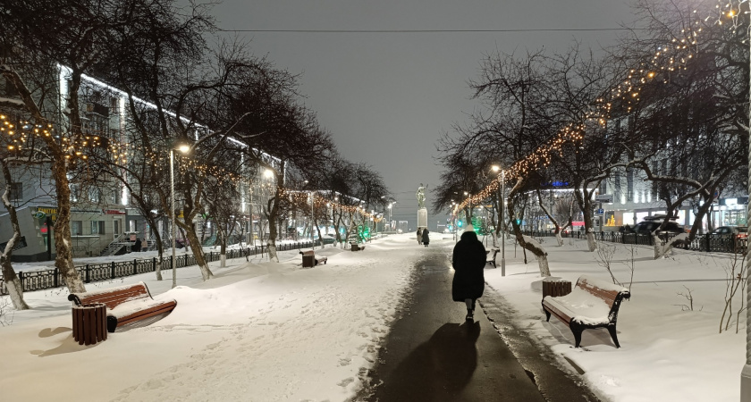 Синоптики рассказали, какой будет первая неделя зимы в Кирове