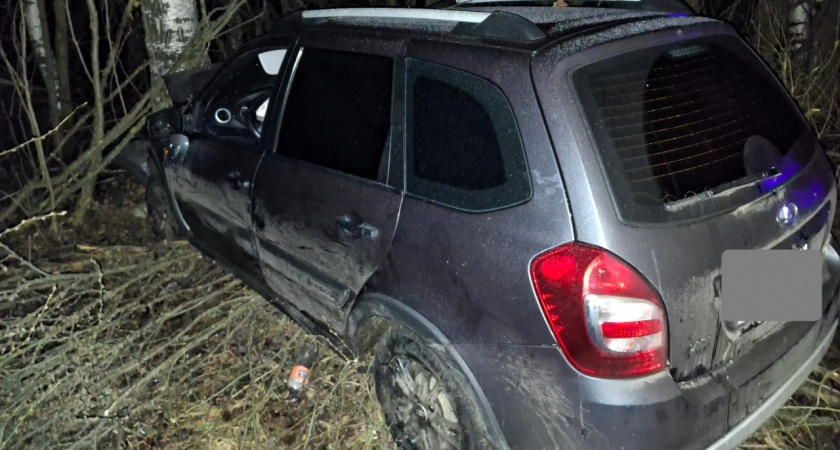 Мальчики 6 и 9 лет получили травмы в жестком ДТП с наездом на дерево под Зуевкой