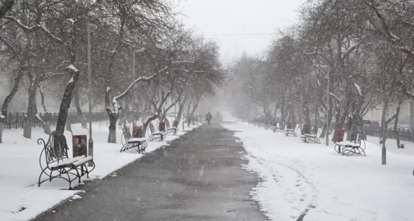 Стало известно, какая погода ждет кировчан 2 декабря