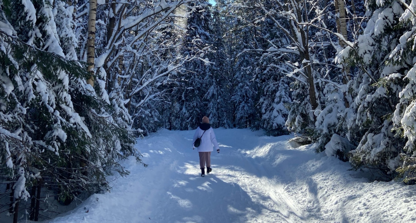 Из Кировской области в Китай отгружено более 60 тысяч кубометров фанеры