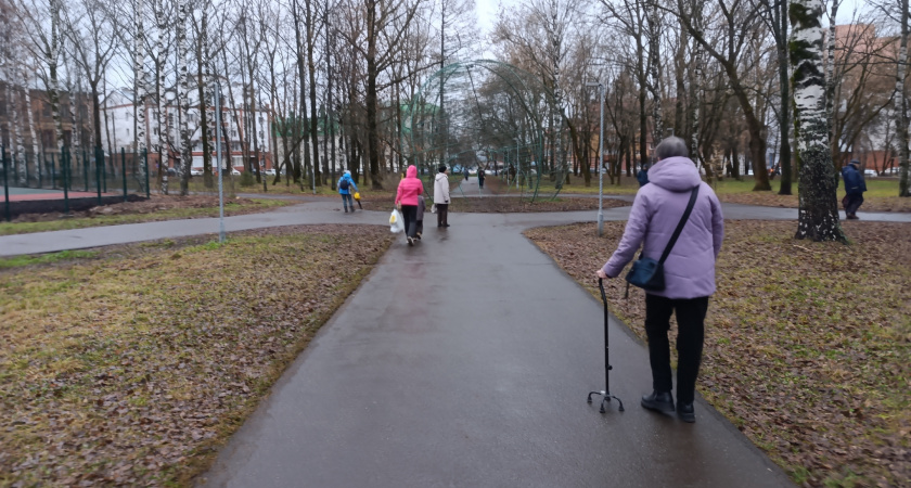 22 тысячи кировчан получили сертификаты на средства реабилитации в 2025 году