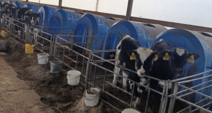 Ферму в Фаленском районе наказали за неустраненные нарушения