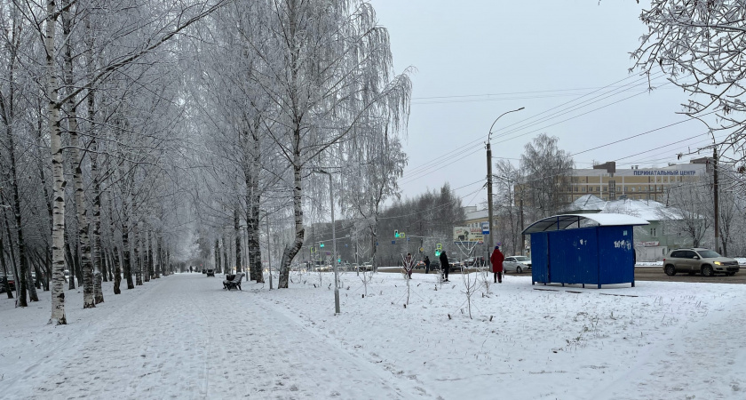 Кировчанам пояснили, в честь кого назвали парк Ильиных на улице Московской
