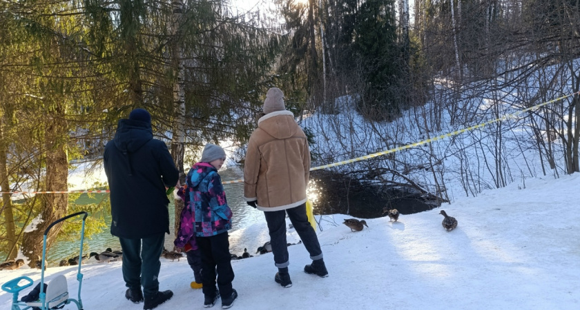 Стало известно, какая погода ждет кировчан 8 декабря