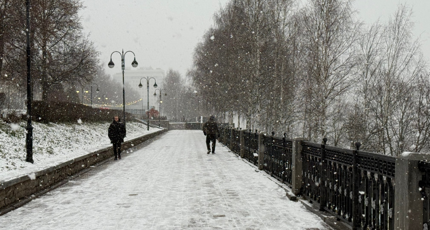 Аномальные морозы ударят без предупреждения: Вильфанд рассказал, каким регионам пора приготовиться