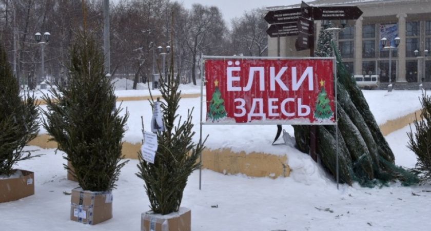 Девять елочных базаров откроют в Кирове 20 декабря