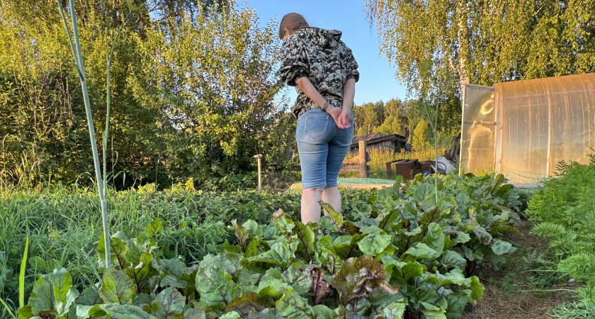 Не пускаю родственников на грядки и вам советую - мое железное правило, которое стоит запомнить раз и навсегда