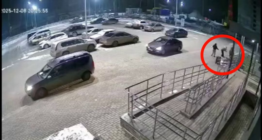 "Питбуля, который загрыз чихуахуа и искусал его хозяйку, выгуливали чужие дети": очевидцы о ЧП в Озерках