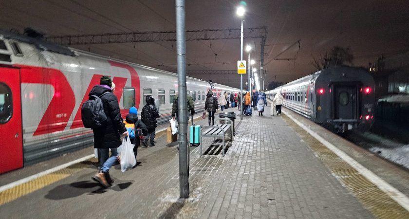 В Кирове задержали шатающегося "туриста" из Петербурга – парню грозит до 10 лет