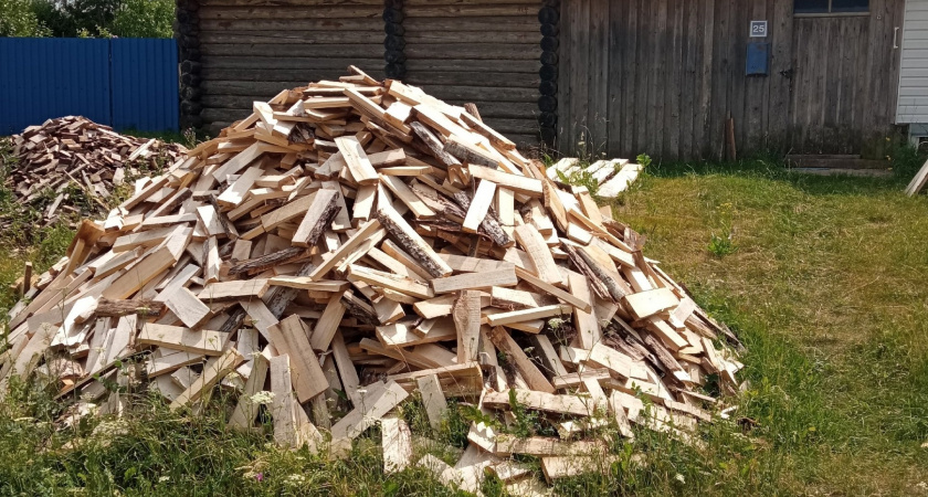 Расход дров минимальный, а дома жарче, чем в бане: экономичные породы дерева - совет бывалого печника