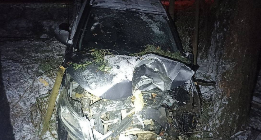 Четыре человека пострадали в жестком ДТП с наездом на дерево в Лебяжском районе