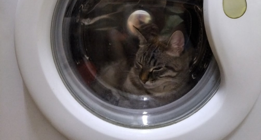 Даже не думала, что многие и не знают, что они неправильно стирают – 3 ошибки при стирке, которые допускают почти все