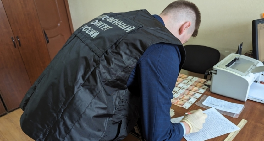 В Малмыже народная избранница лишилась мандата после покупки за 4,5 млн рублей