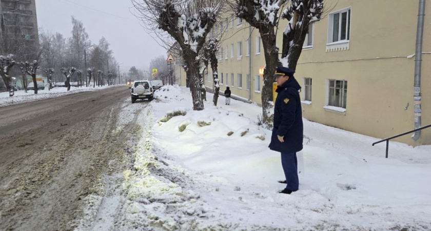 Более 30 человек получили травмы из-за снега и гололеда на улицах Кирова
