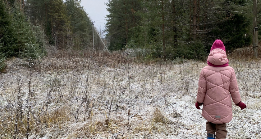 Самые популярные "нормальные" имена в России в уходящем 2025 году