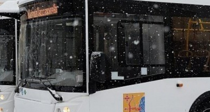 Кубок России по лыжным гонкам в Кировской области: как добраться без своего авто