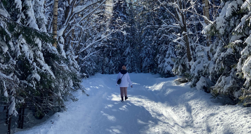 Экспорт березовой фанеры из Кировской области в Китай вырос на 29 процентов