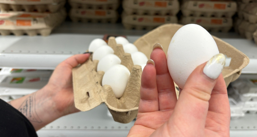 Как выбрать самые свежие и вкусные яйца для блюд на Новый год: советы экспертов Роскачества, которые реально работают