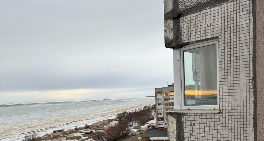 Из окон не дует даже в метель: этот простой предмет на подоконнике заблокирует сквозняки и наполнит дом ароматом леса