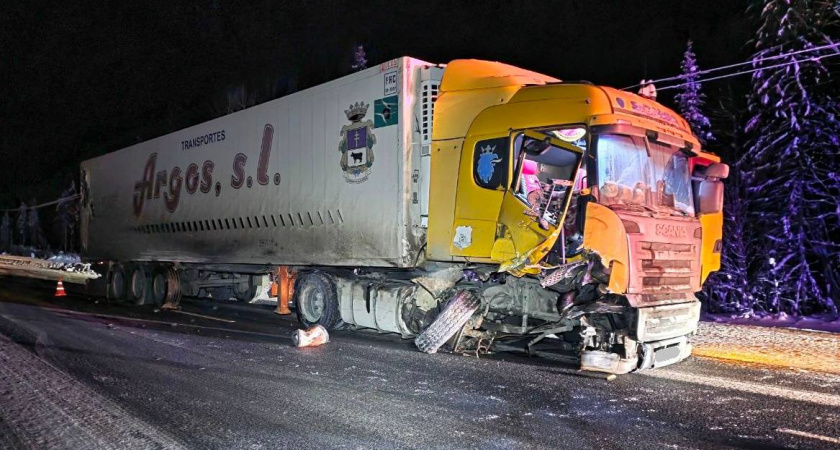 Стало известно, кто стал жертвой ДТП с фурой на трассе под Белой Холуницей