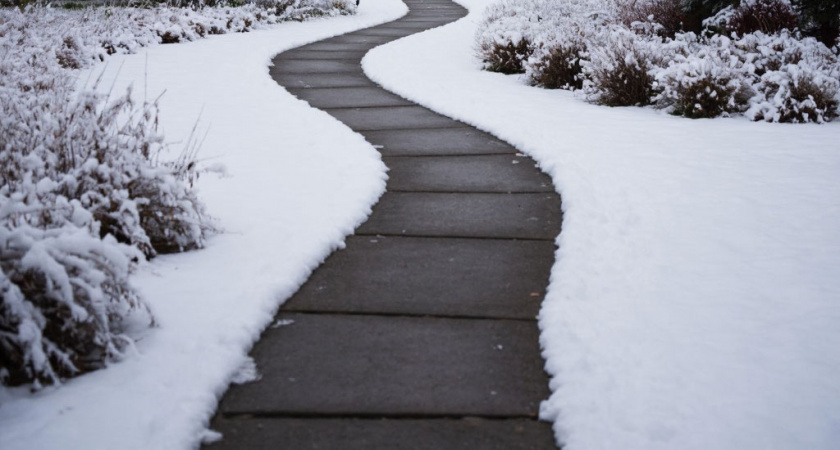 Мыльный бетон в действии: как за 1 день создать чистую и долговечную садовую дорожку