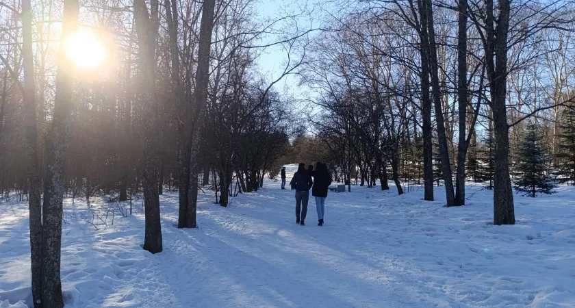 В Кирове прогнозируется снег и гололедица